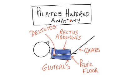 Anatomy of the Perfect Pilates Hundred Exercise: Tips and Tricks for Getting it Right