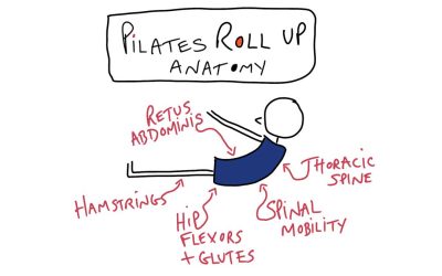 Anatomy of the Perfect Pilates Roll Up Exercise: Tips and Tricks for Getting it Right