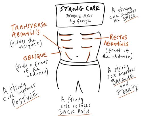Strong Core Pilates Anatomy