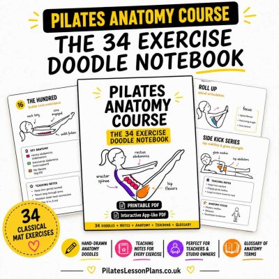 Pilates Anatomy Course: The 34 Exercise Doodle Notebook printable interactive PDF for the 34 classical mat exercises.