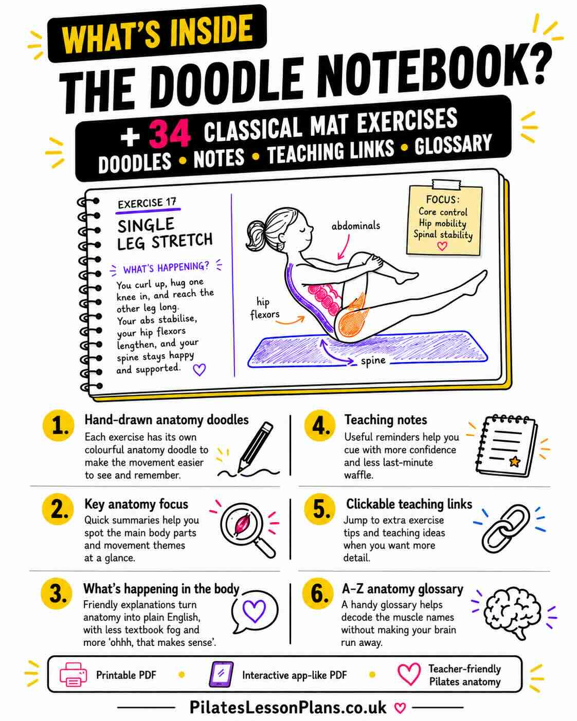 Infographic showing what’s inside the Pilates Anatomy Course 34 Exercise Doodle Notebook, including anatomy doodles, teaching notes, clickable links, and glossary.