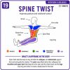 Pilates Anatomy Card Deck: 34 Visual Flashcards For Learning Anatomy The Fun Way - Image 8
