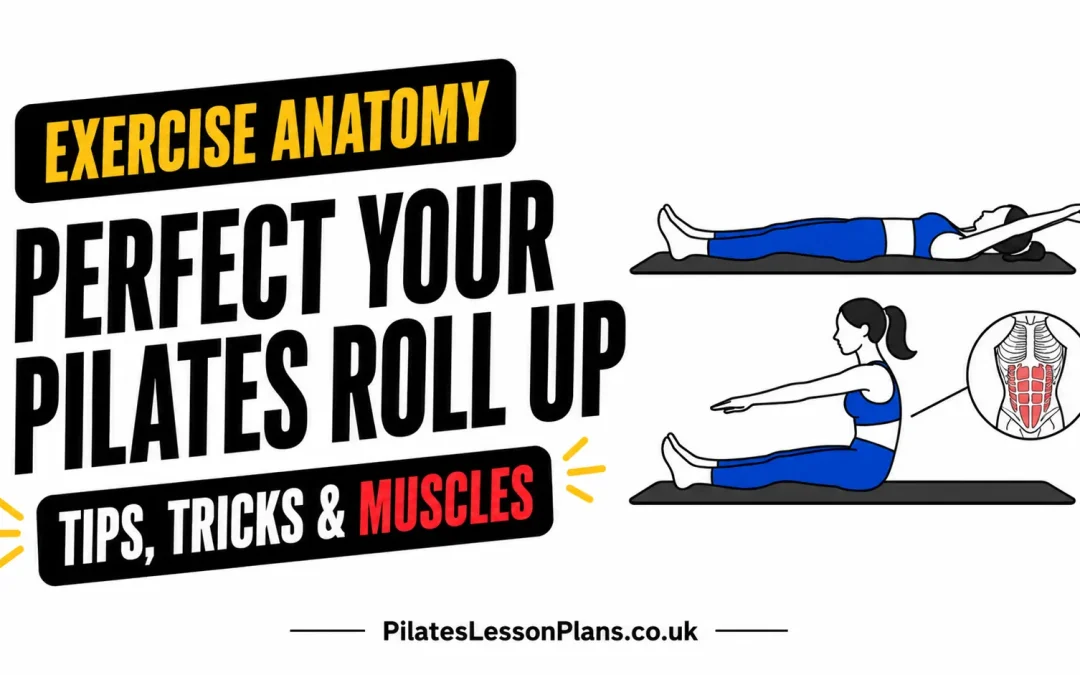 Pilates Roll Up exercise anatomy, tips and muscles